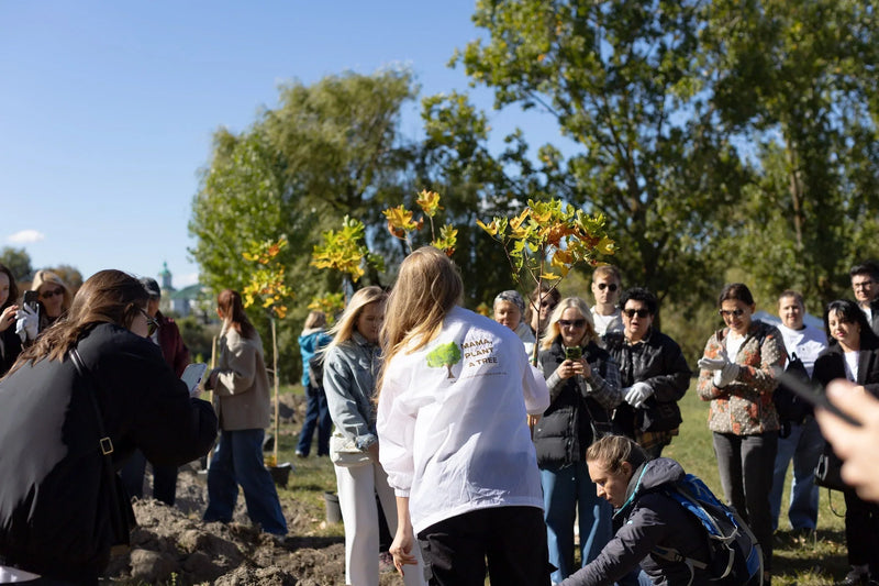 TREES PLANTING