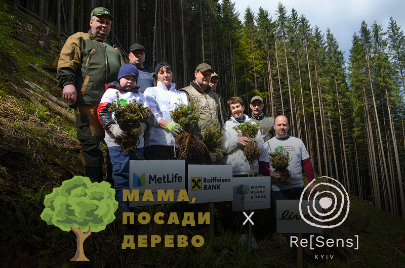 Re[Sens] × Mama Plant a Tree — 300 Trees and Counting